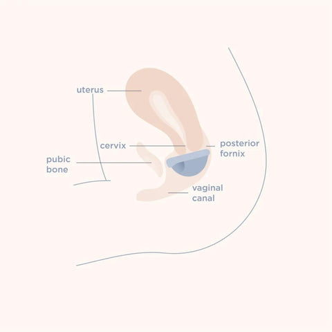 Menstrual Disc - Small