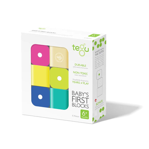 tegu babys first magnetic blocks