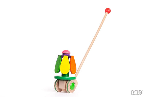 Flower Push Toy