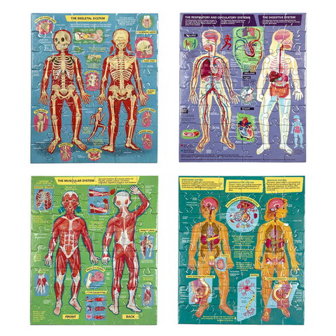 48 Piece Puzzle Set - Human Anatomy Body Systems