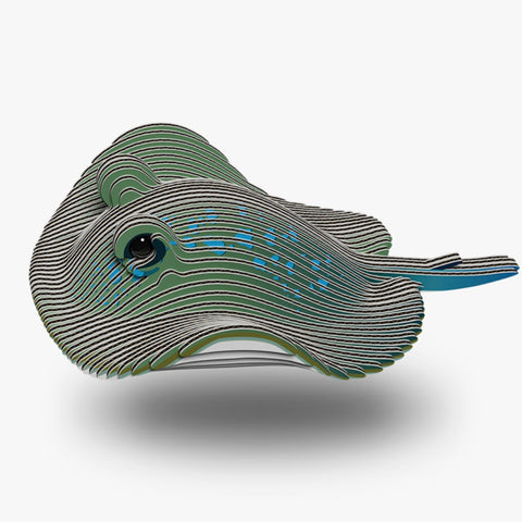 3D Model Kit - Stingray