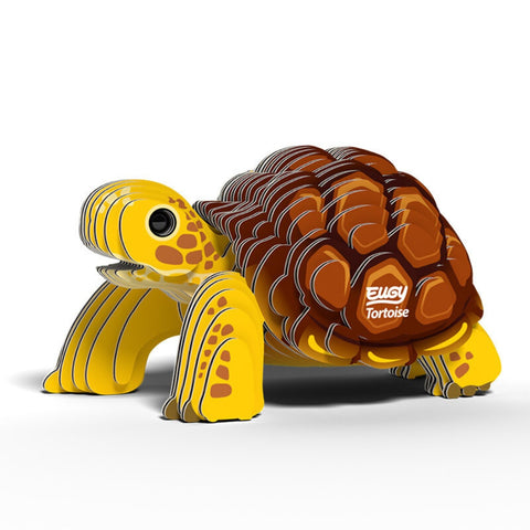 3D Model Kit - Tortoise