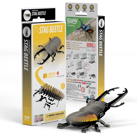 3D Model Kit - Stag Beetle