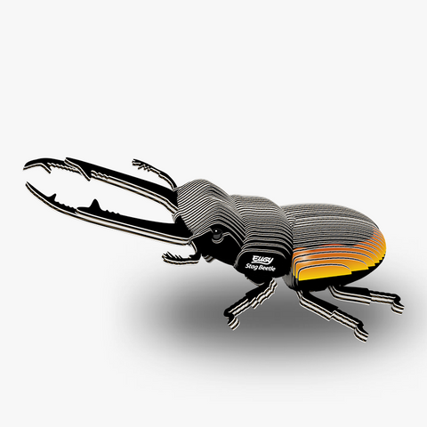 3D Model Kit - Stag Beetle