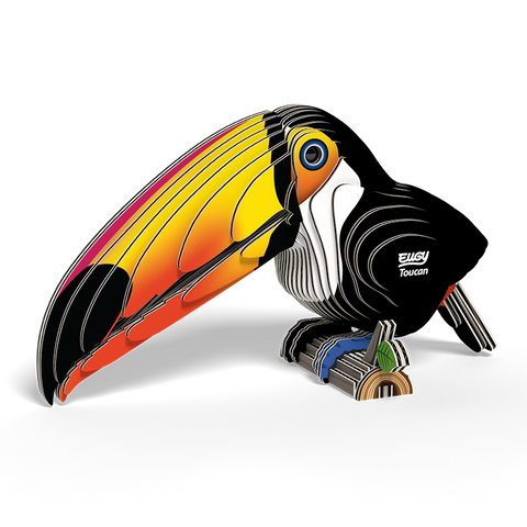 3D Model Kit - Toucan