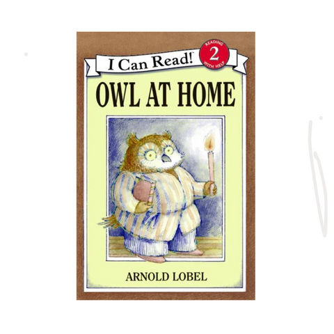 Owl at Home