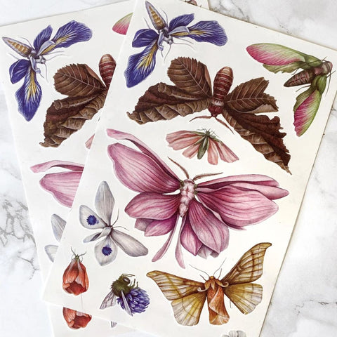 tattly temporary tattoes floraflies butterflies moths artist