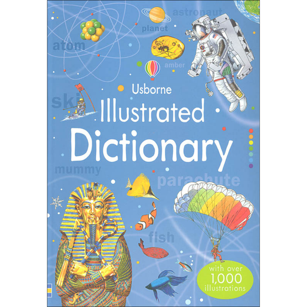 Usborne Reference Book Illustrated Dictionary