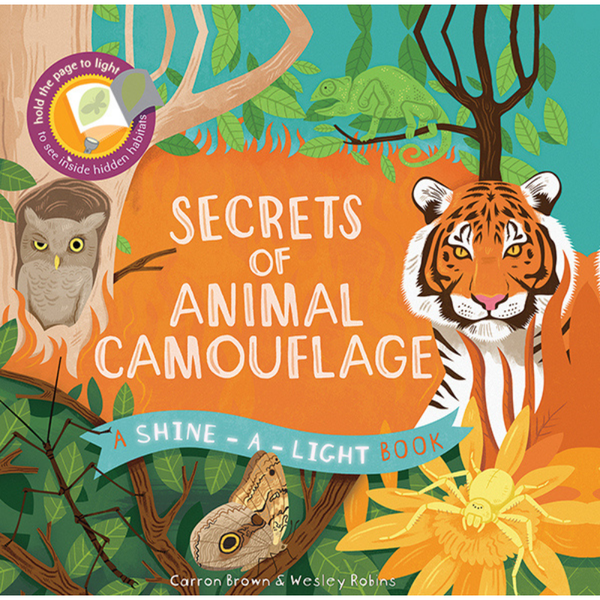 Usborne Shine-A-Light Book Secrets of Animal Camouflage