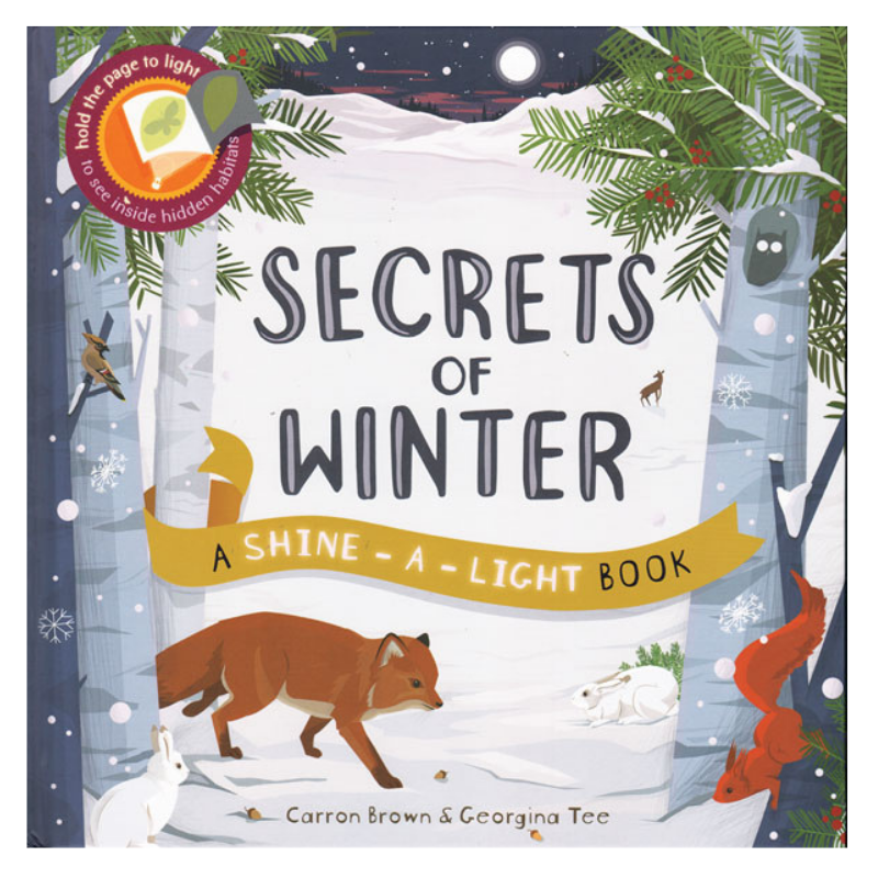Usborne Shine-A-Light Book Secrets of Winter