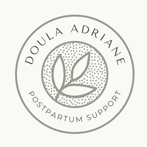 Postpartum Doula Planning Session