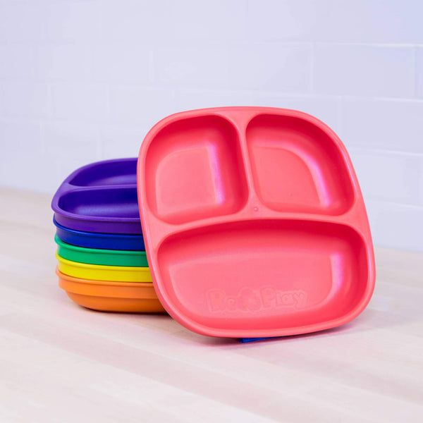 Recycled Plastic Divided Plate