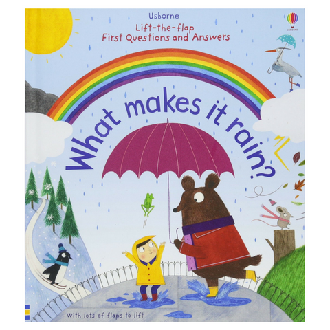 Lift-The-Flap First  Q & A Book What Makes it Rain?