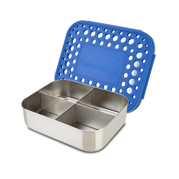 Quad Four Section Food Container Blue Dots