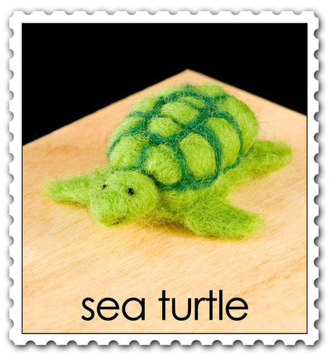 Sea Turtle Kit